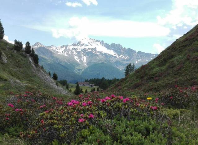 Vicino al sold out l’Alta Valtellina Bike Marathon 2017